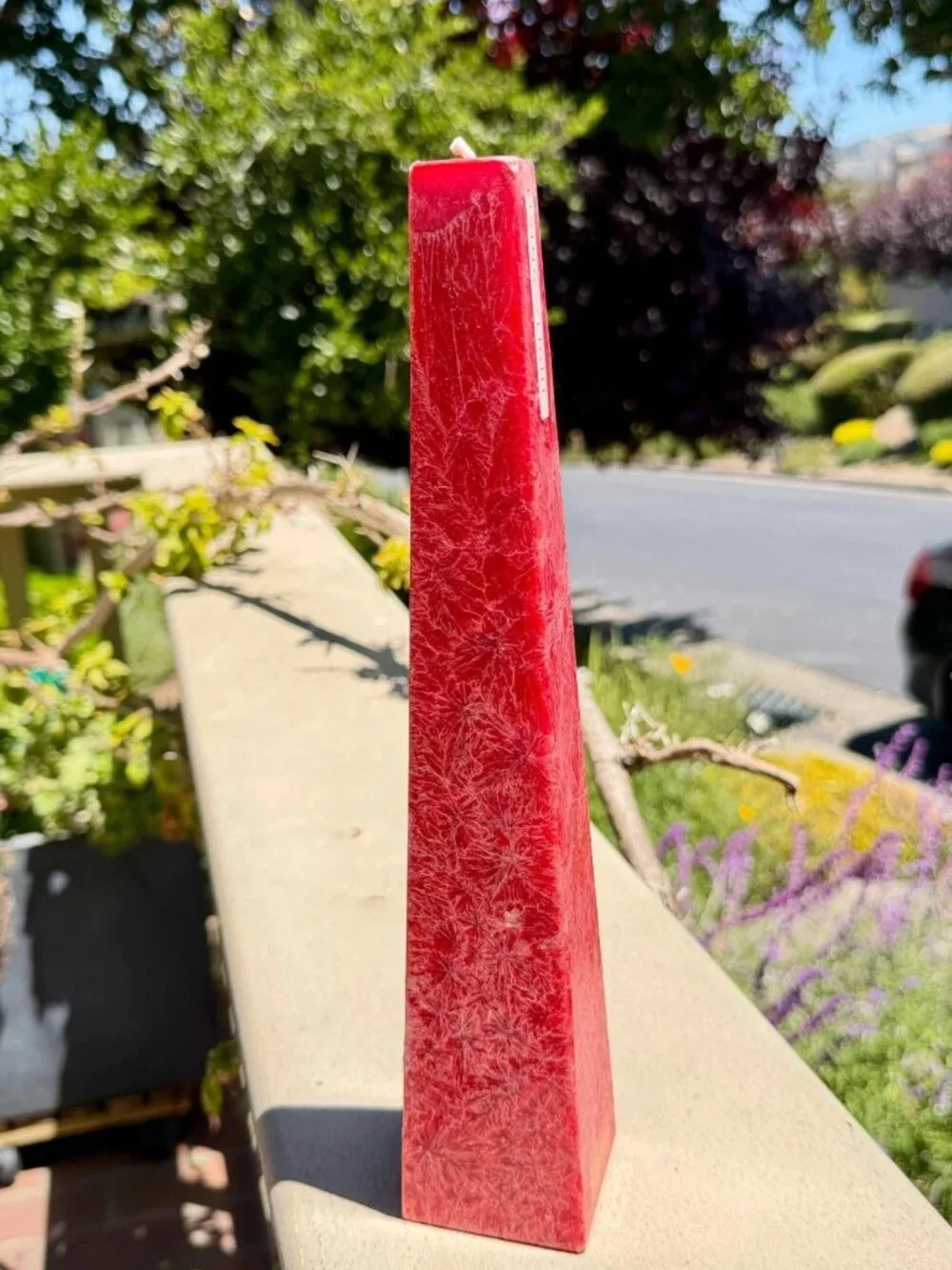 Living Light Pohutukawa Icicle Candle Red New Zealand Plant Beeswax 65 Hr 11.5